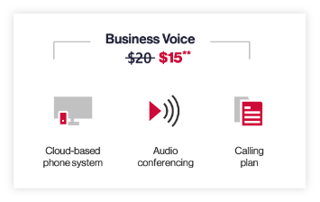 Program business voice with calling plan